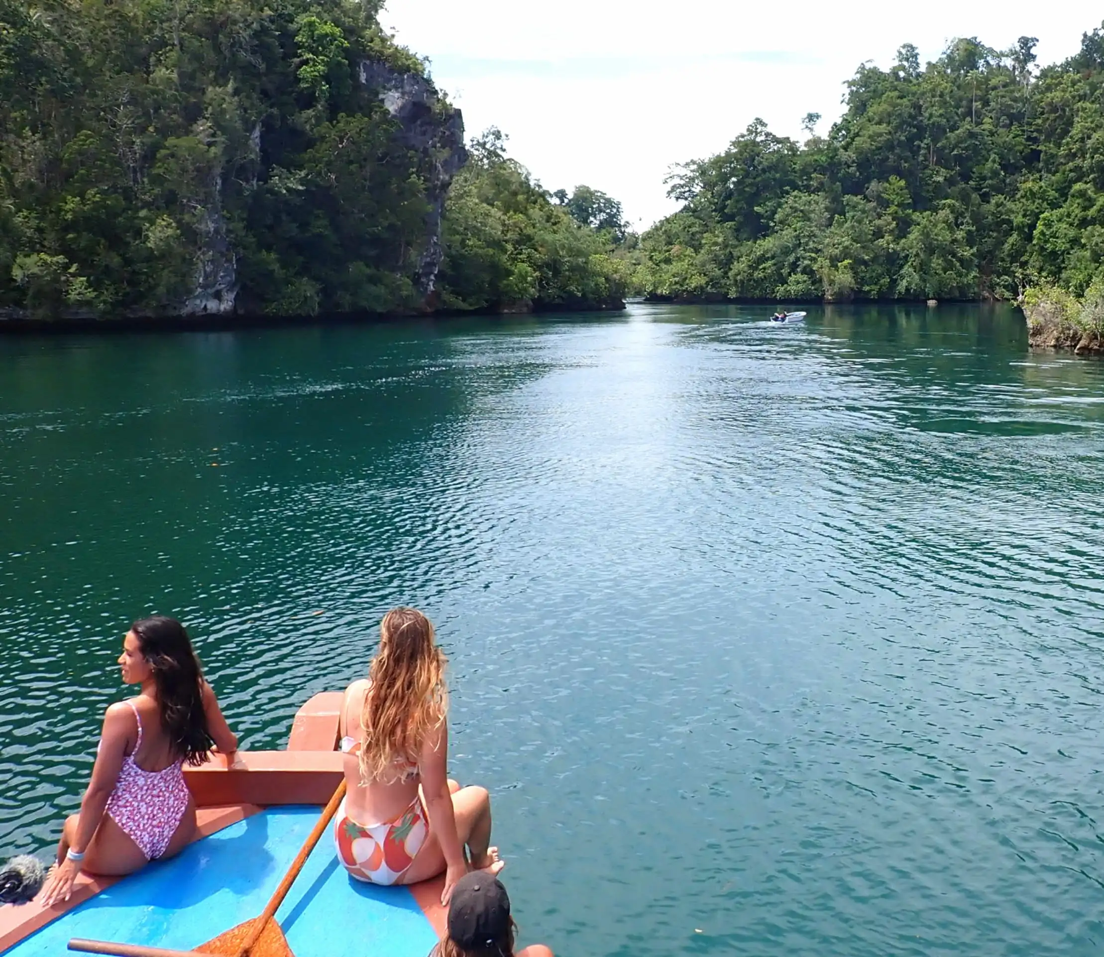 Tropical seascape Raja Ampat