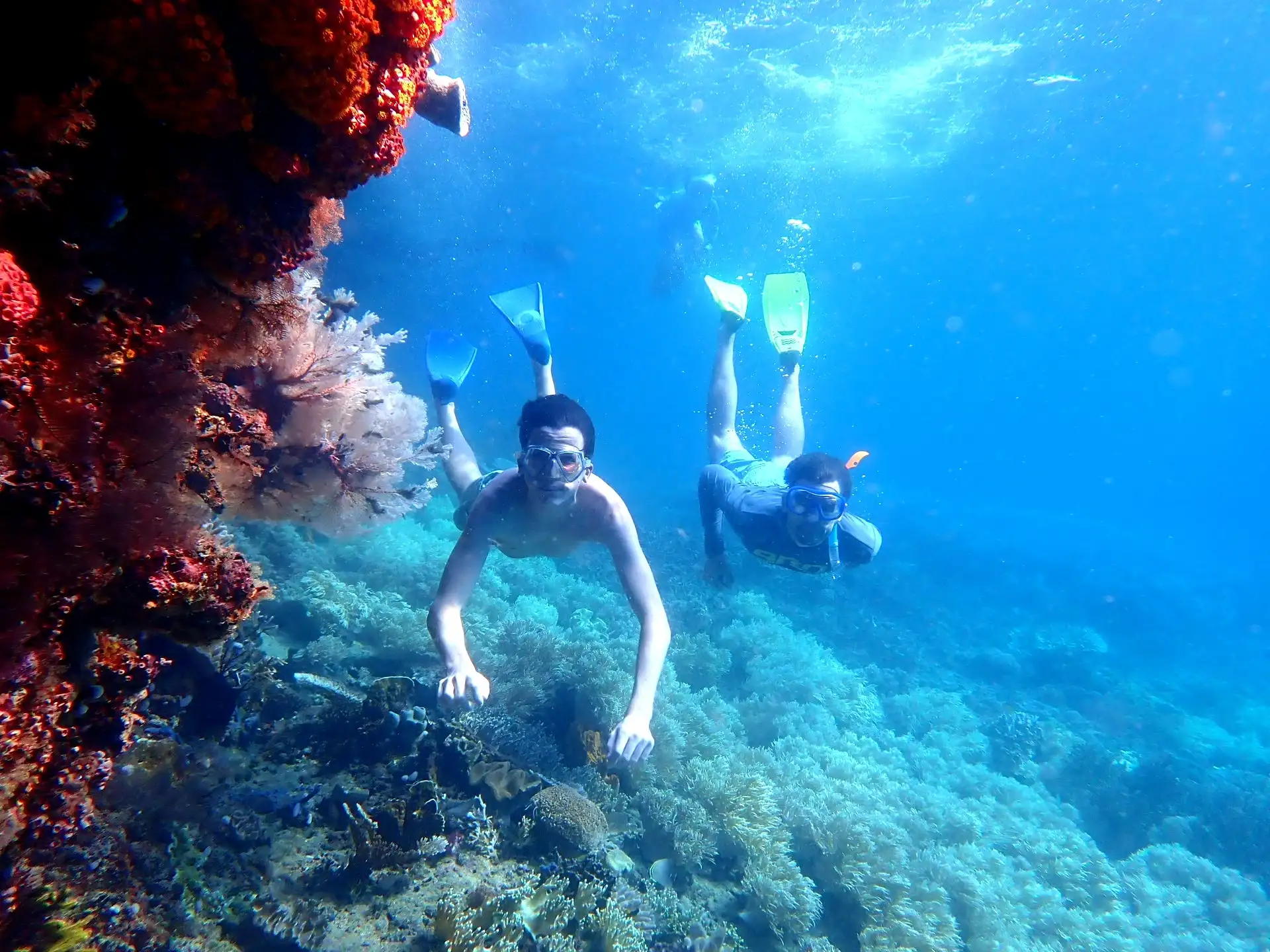 Raja Ampat gallery